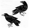 Huginn and Muninn