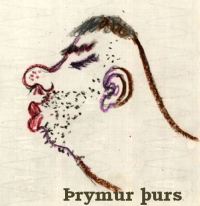 Þrymur þurs