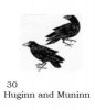 Huginn and Muninn