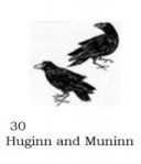 Huginn and Muninn