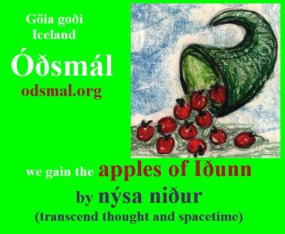We gain the apples of Iðunn by nýsa niður - transcend thought and spacetime