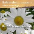 Baldur is our sungod
