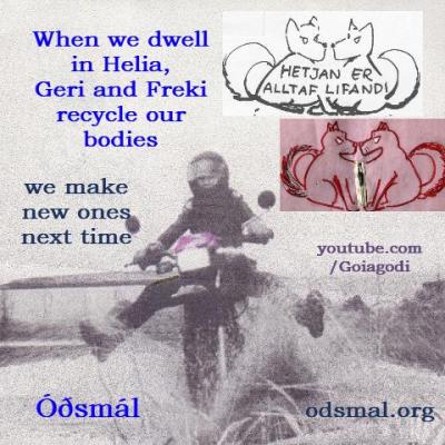 When we dwell in Helia, Geri and Freki recycle our body