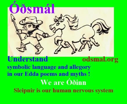 We are Óðinn - Sleipnir is our human nervous system