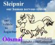 Sleipnir - our human nervous system is our vehicle to Ásgarður