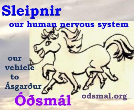 Sleipnir - our human nervous system is our vehicle to Ásgarður