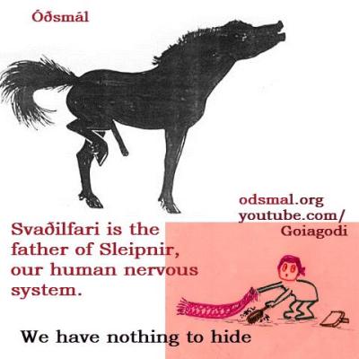 Svaðilfari is the father of Sleipnir, our human nervous system